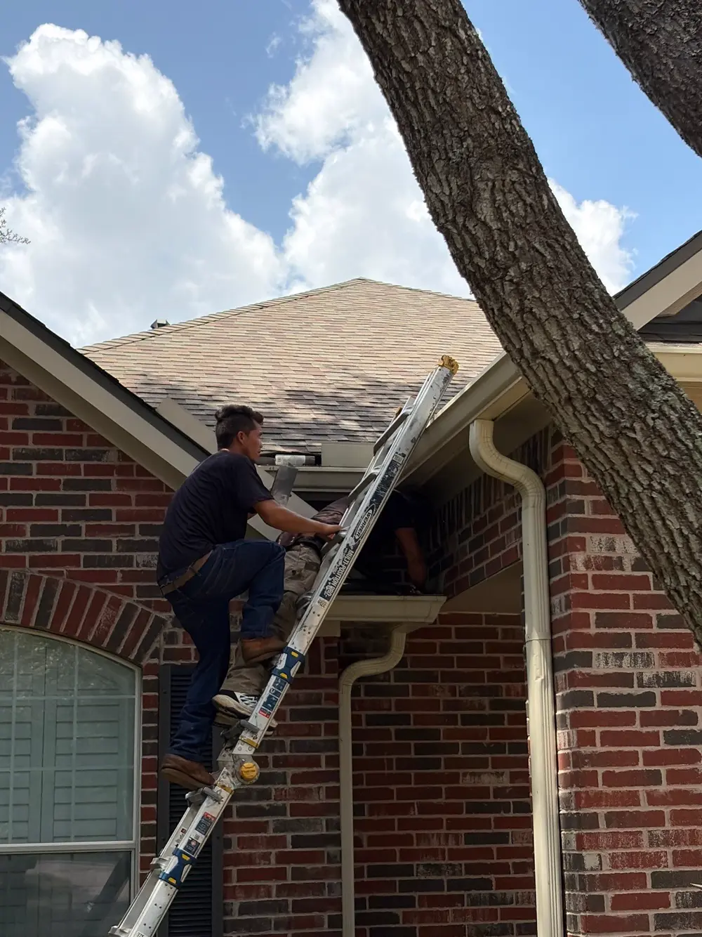 Roofer climbing a ladder to inspect a brick home in Cypress, TX